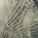 24시 글로리 동물병원 이미지