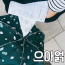 리멤버페이보릿 | 포켓몬 잡으러 캐나다 온 애 후기 : 캐나다 포켓몬고