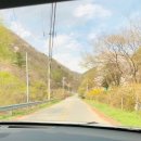 솔바람 힐링하우스 이미지