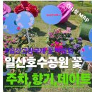 세븐일레븐 일산호수마을점 | 고양국제꽃박람회 2026 일산호수공원 봄꽃 나들이 하루 코스 후기