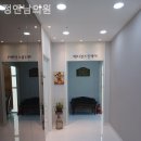 정앤남