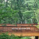 상계3,4동주민센터 | 뚜벅이의 노원 휴양림 수락휴 예약부터 솔직 후기까지