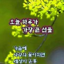 오늘하루 이미지