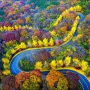 행정사도움사무소 이미지