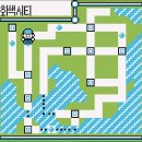 [공략]포켓몬스터 피카츄 버전 4 - 회색 시티 -
