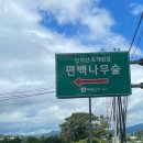 경주대릉원&amp;건천 편백숲내음길