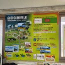 승마공원 | 제주승마체험 중문승마공원 후기