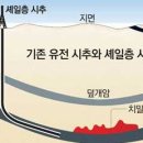 유가하락과 셰일에너지(펌) 이미지
