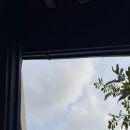 닭닭익선 | 익선동 맛집 진닭강정 익선점 포장후기! 한옥 분위기까지 즐긴 익선동핫플 추천!