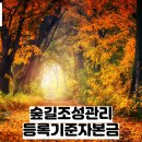 숲길법인 이미지