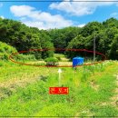 양편농장 이미지