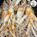 풍기정품인삼사