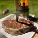 삼락오토캠핑장 이미지