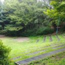 선포약수터 이미지