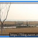 프러스마트 이미지