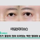 아웃라인