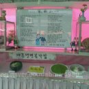 야콘 본가 이미지