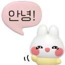 한국자동차안전유리