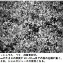 (주)종초원 이미지