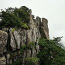 제132회 : 18.4.8.(일) 정기산행 대구 팔공산[八公山] 1193m 이미지