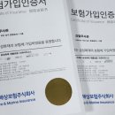 강철체육관(태권도) 이미지