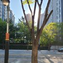 파주우체국 이미지