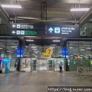 742 | 인천 국제공항으로 이동 하는 아시아나 항공 OZ742 일반석(이코노미석) 후기 (A350 기종) (기내식 새우죽)