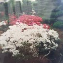 시암골 농장 이미지