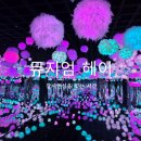 헤이퍼피 | 파주 뮤지엄헤이 후기｜비 오는 날 가기 좋은 실내 미디어아트 전시관