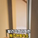 이니히제주 이미지