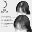 디에스엠피 이미지