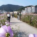 죽림4로가로수 이미지