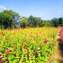 가산수피아 이미지