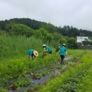 박암리 마을회관 이미지