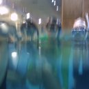 스킨수영(스노클링,스킨다이빙,핀수영,프리다이빙,스킨스쿠버다이빙) 2회 교육 사진(5월 23 월요일) 이미지