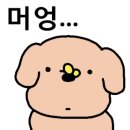 스킨포에버