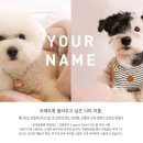 메이킷 네이버블로그