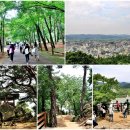 NR-31[새마을로]-하-538 | 백제문화유산주간 부여,공주,익산의 1,500년전 백제의 시간속으로 (유네스코 지정 백제역사유적지구)