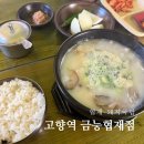 협재역 | 제주도 협재 국밥, 순대국 고향역 금능협재점