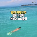 노란거북이 | 발리 여행 2일차(1) 길리 마차, 전기스쿠터 대여, 라뭄바 거북이 스노클링, 수미사테, 펄선셋리조트 후기