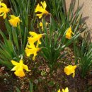 대룡목장 이미지