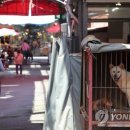 구포시장2 이미지