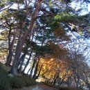 마루바람 이미지