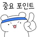 강화용인대유도관 이미지