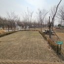 오산 맑음터공원캠핑장 후기 (3/4~5, 토~일) + 캠핑용품 소개