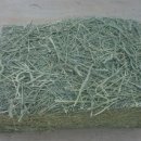 덕용농장 이미지