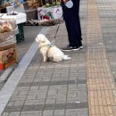 보노포스 | 연말에 있었던 이야기...