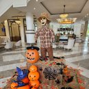 달려라 쌀국수 | 나트랑여행(멜리아빈펄깜란리조트 조식+시내셔틀버스+멜리아리워드 사용방법+환전)