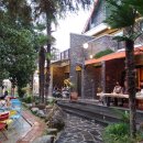 홍매화 민박 이미지