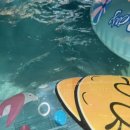 메가코인 이미지